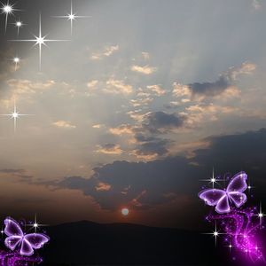 Meet your Posher, Brandel